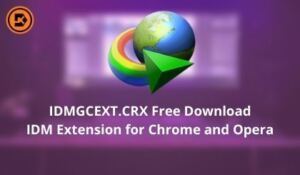 download idmgcext for idm 6.31